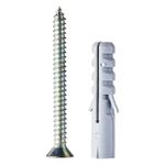Parafuso-Cabeca-Chata-Philips-com-Bucha-63x50-10mm-2-pecas