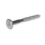 Parafuso-Cabeca-Tampinha-Philips-48x40mm-200-pecas