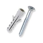 Parafuso-Cabeca-Chata-Philips-com-Bucha-63x50-10mm-2-Pecas