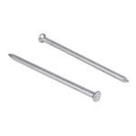 Prego-com-Cabeca-Polido-22x48-1Kg