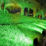 Refletor-de-LED-Slim-30W-IP66-Luz-Verde
