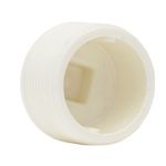 Plug-Roscavel-3-4--Amanco