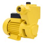 Bomba-de-Agua-Auto-Aspirante-TPS-80-Monofasica-1CV-127-220V-Ferrari