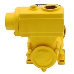 Bomba-de-Agua-Auto-Aspirante-TPS-80-Monofasica-1CV-127-220V-Ferrari