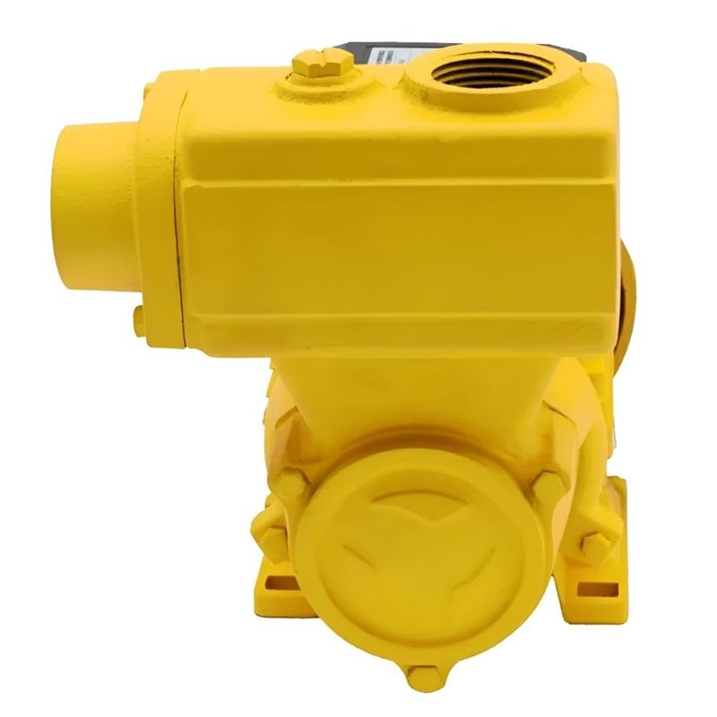Bomba-de-Agua-Auto-Aspirante-TPS-80-Monofasica-1CV-127-220V-Ferrari