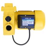Bomba-de-Agua-Auto-Aspirante-TPS-80-Monofasica-1CV-127-220V-Ferrari
