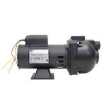 Bomba-de-Agua-Auto-Aspirante-Pratika-AP3C-Monofasica-1CV-Bivolt-Dancor