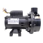 Bomba-Hidromassagem-Banheira-CHS-17-Monofasica-1-2CV-127-220V-Dancor