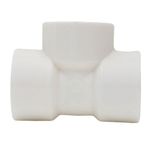 Te-Roscavel-3-4--Amanco