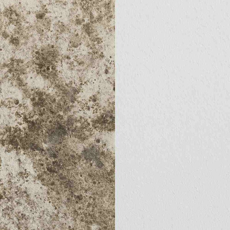 TRATAMENTO-DE-PAREDE-4X1-ANTI-MOFO-1L--RODAPE-E-PARED-INT