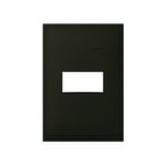 Placa-1-Posto-4x2-sem-Suporte-Preta-Simon-35