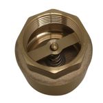 Válvula de Retenção Vertical 2.1/2" Emmeti