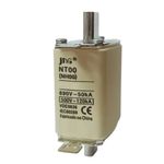 Fusível Cerâmico NH-00 160A Jng