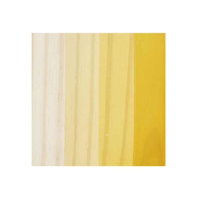 Verniz Premium Sintético Acetinado Solgard Incolor 3,6L Coral