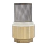 Válvula de Retenção Fundo de Poço 3/4" Emmeti