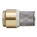 Válvula de Retenção Fundo de Poço 3/4" Emmeti