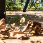 Aspirador de Pó e Água 10 Litros 1500W WDL1 220V Karcher