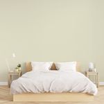 Tinta Econômica Acrílica Fosco Gesso & Drywall Branco 18L Bautech