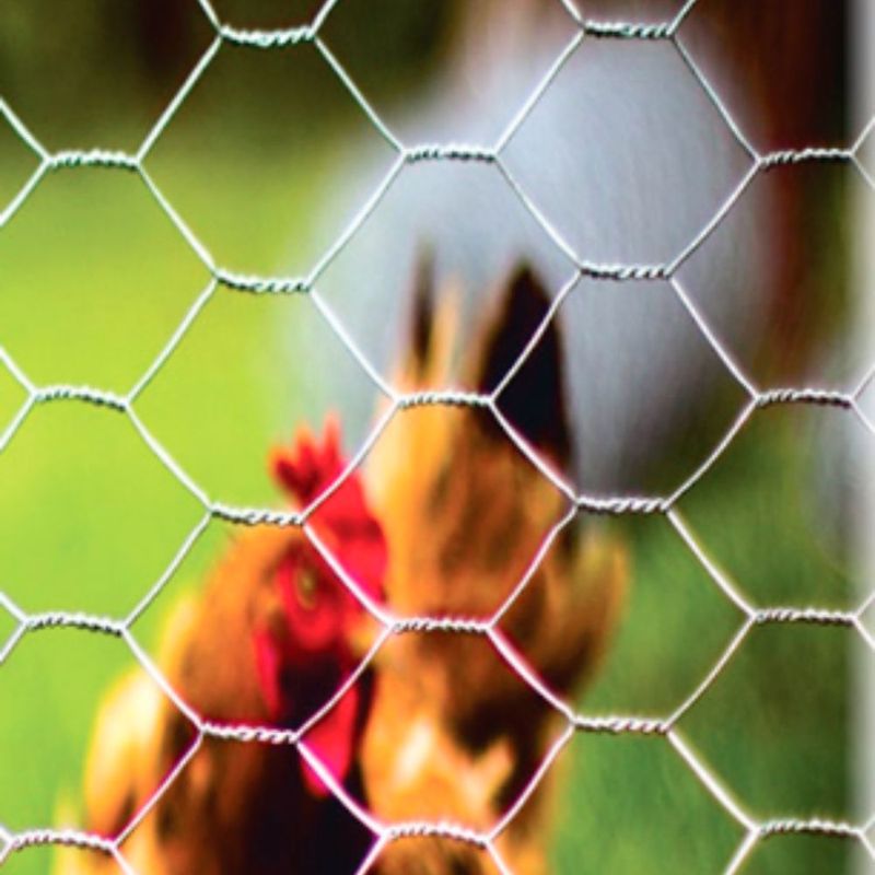 Tela Hexagonal Galinheiro Aço Galvanizado 2" 22BWG 1,80x10m Comep