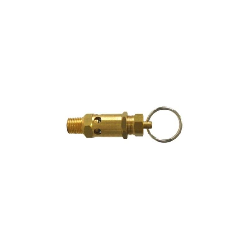 Válvula de Segurança 1/4" NPT 175 Lbs 123-AP Arcdal