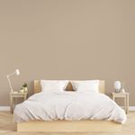 Tinta Econômica Acrílica Fosco Glasu Areia 18L Suvinil