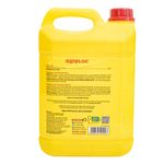 Clarificante e Auxiliar de Filtração Frasco 5L Genfloc Piscina Genco