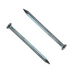 Prego Galvanizado com Cabeça 10X10 20 Peças Sforplast