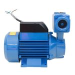 Bomba de Água Auto Aspirante DPA-40 Monofásica 1/2CV 127/220V Dancor