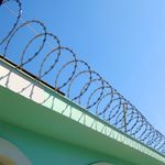 Concertina Simples Aço Galvanizado 45cm 10m Calhaforte