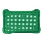 Caixa Plástica Vazada 50,5L até 20KG Verde