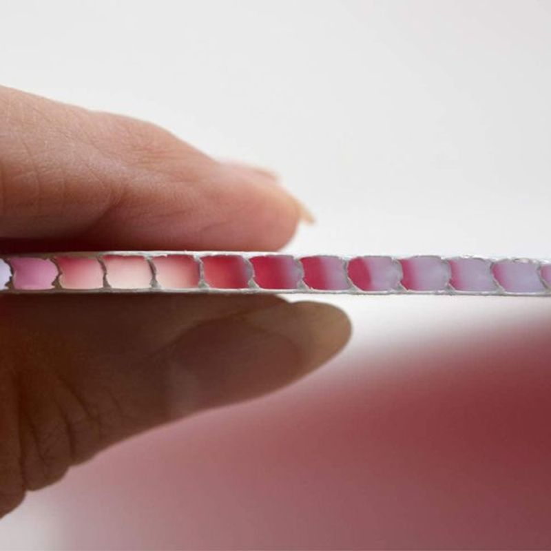 Chapa Alveolar Polipropileno Branco 1,3x2m Atco