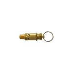 Válvula de Segurança 1/4" NPT 175 Lbs 123-AP Arcdal