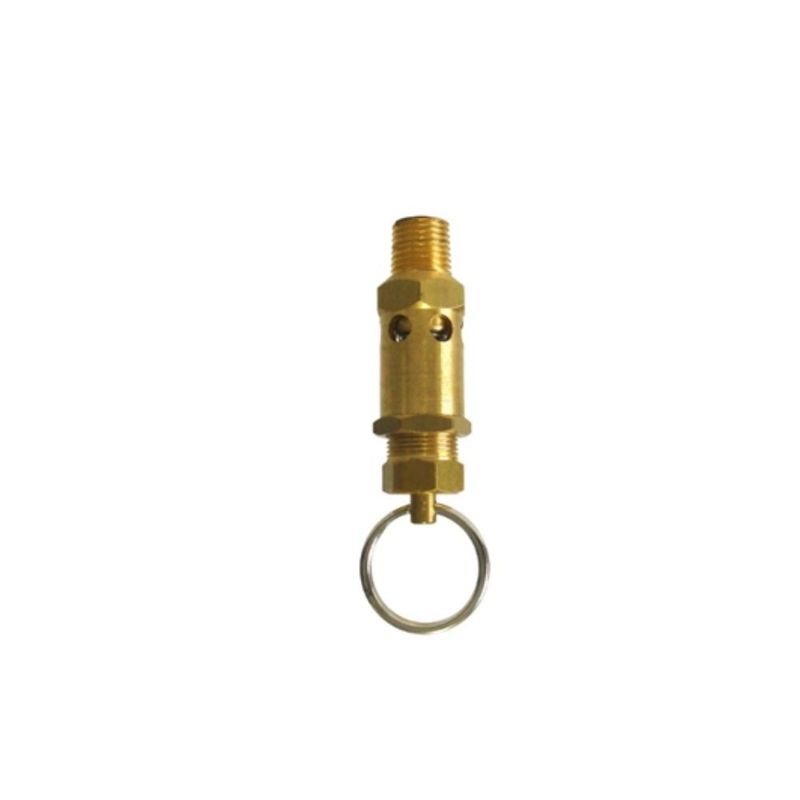 Válvula de Segurança 1/4" NPT 175 Lbs 123-AP Arcdal