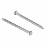 Prego com Cabeça Polido 17x21 1Kg