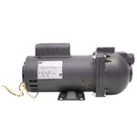 Bomba de Água Auto Aspirante Pratika AP3C Monofásica 2CV Bivolt Dancor