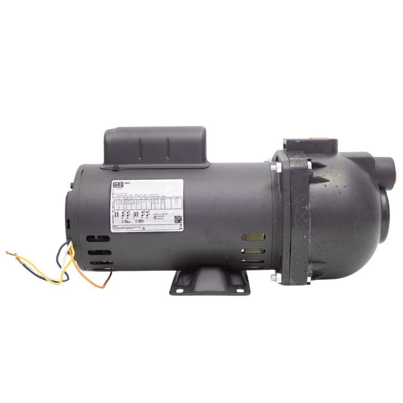 Bomba de Água Auto Aspirante Pratika AP3C Monofásica 2CV Bivolt Dancor