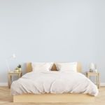 Tinta Econômica Acrílica Fosco Pintalar Branco 15L Balde Iquine