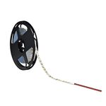 Rolo de Fita Led 50 Metros 10W/M IP20 1000 Lúmens/m Luz Branca bivolt