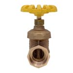 Registro de Gaveta Bruto Semi-Industrial 1502 140mca 1.1/4" Deca