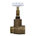 Registro de Pressão Bruto 1416 3/4" Deca