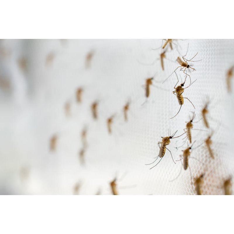 Trava de Encaixe para Tela Mosquiteira Branca 04 Peças