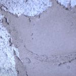 Argamassa Pronta para Assentamento e Revestimento 20Kg Jofege